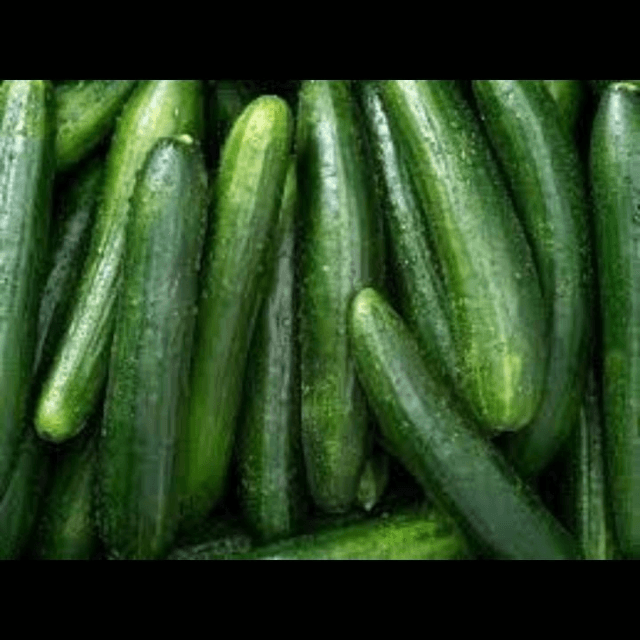 Cucumber
