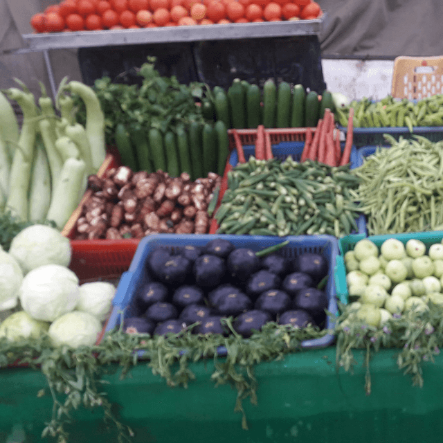 Fresh Vegetables